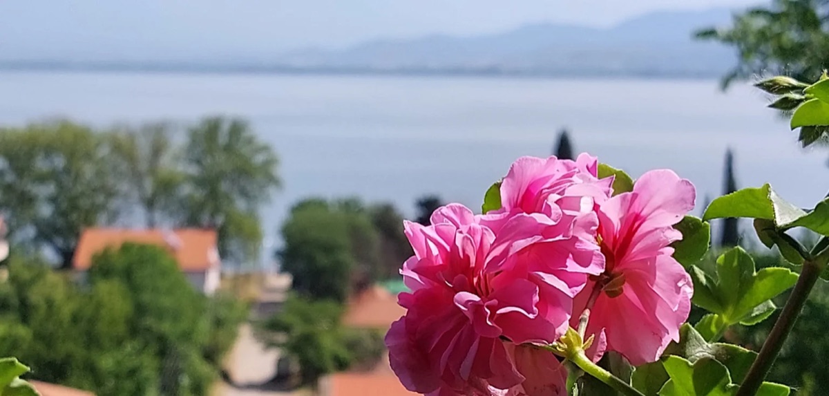 Apartment für Kurzaufenthalte in Star Dojran