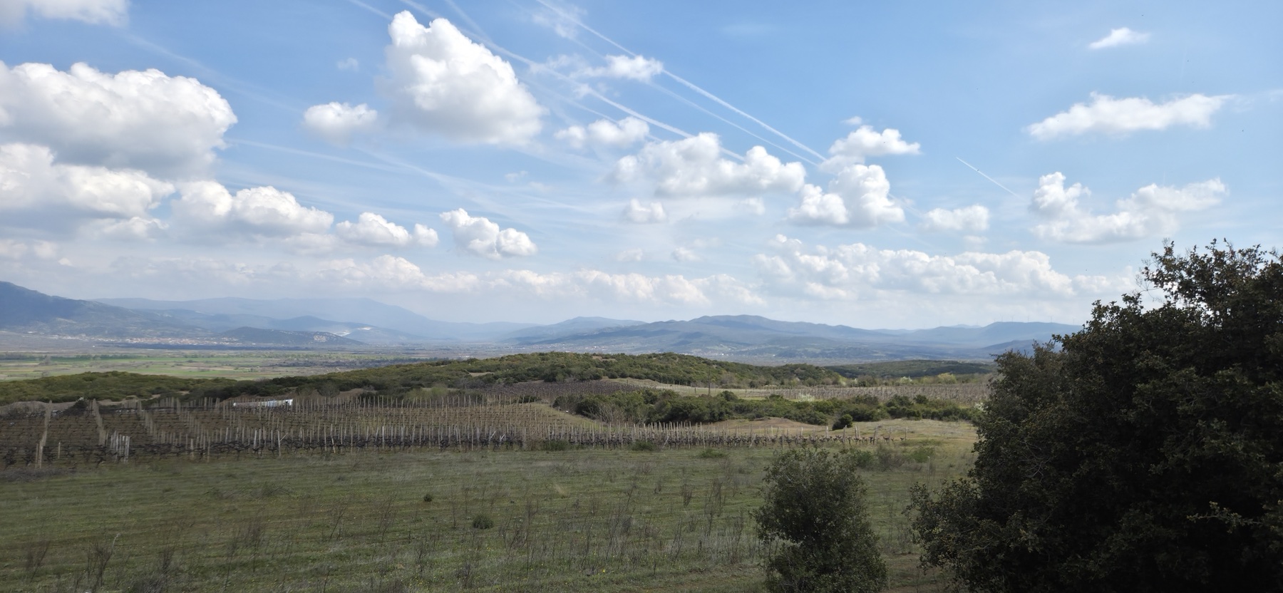 Additional visual for Company with 22 ha concession, 140 m² building and infrastructure