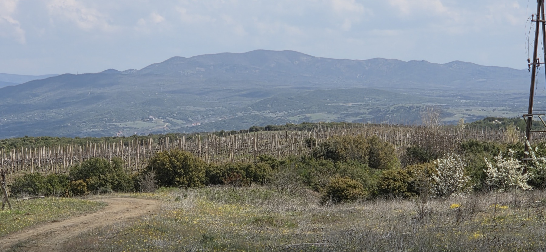 Additional visual for Company with 22 ha concession, 140 m² building and infrastructure