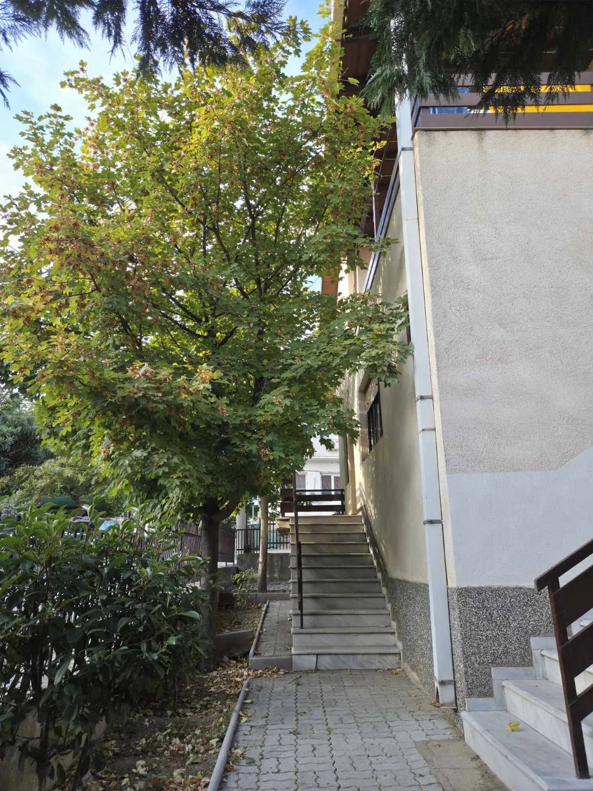 Additional visual for House with Yard in Bogdanci - 318 m2