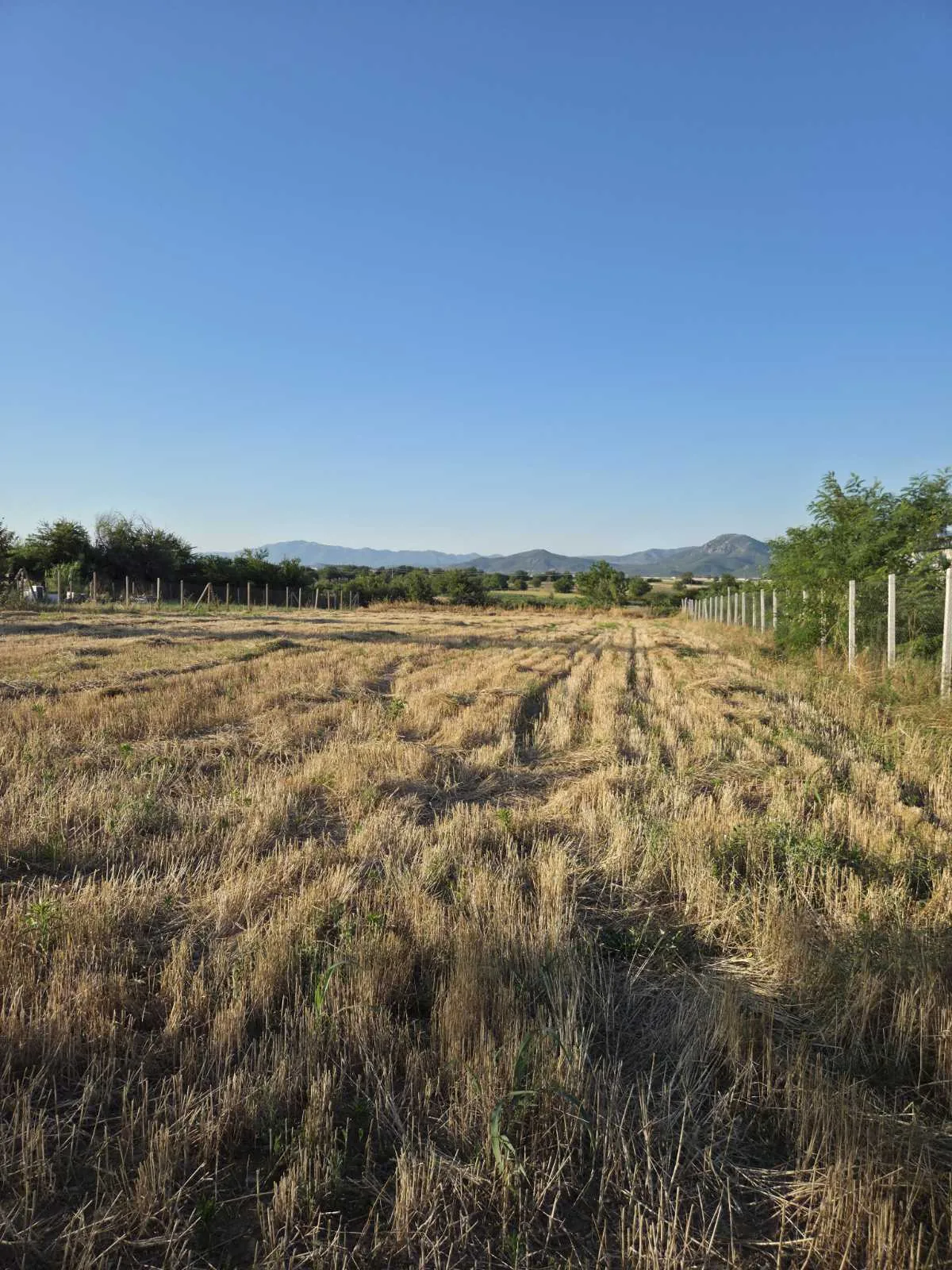 Βιομηχανικό Οικόπεδο στη Νεγκόρτσι - 2,275 m2